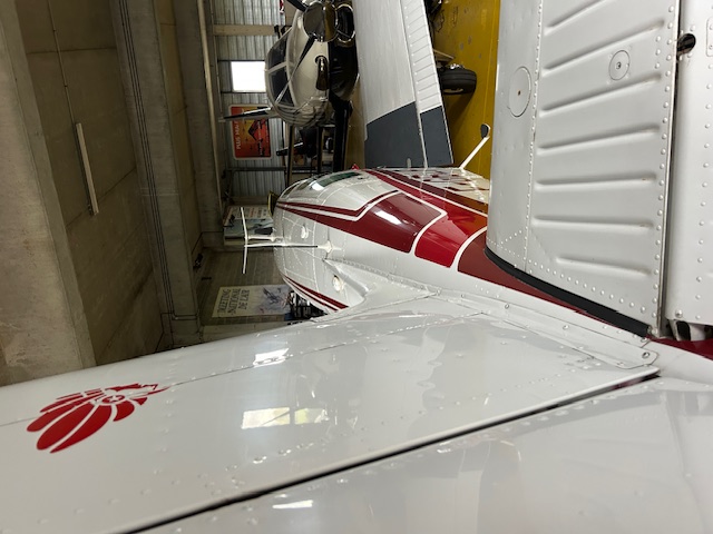 BEECH A36